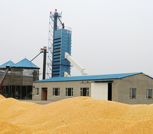 吉林省長春市雙陽